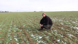 Cette parcelle de Vincent Grosse a été semée à l’automne 2020 avec un mélange à base de triticale d’hiver (90 kg), de vesce (25 kg), de pois fourrager (12-13 kg), de trèfle incarnat (2 kg). Il sera récolté au printemps à destination des animaux. © D. Péronne Cette parcelle de Vincent Grosse a été semée à l’automne 2020 avec un mélange à base de triticale d’hiver (90 kg), de vesce (25 kg), de pois fourrager (12-13 kg), de trèfle incarnat (2 kg). Il sera récolté au printemps à destination des animaux. © D. Péronne